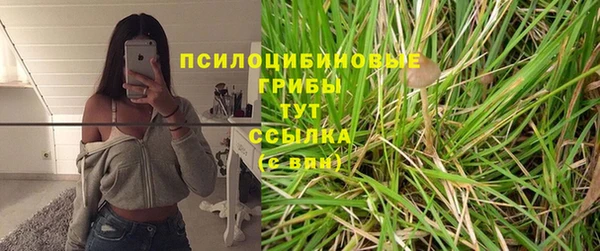 jwh Лиски