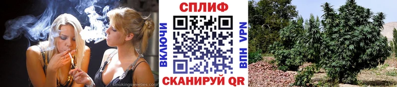 МАРИХУАНА Amnesia  Купить  Алексин 